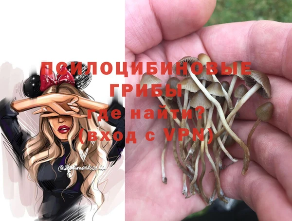 амф Балахна