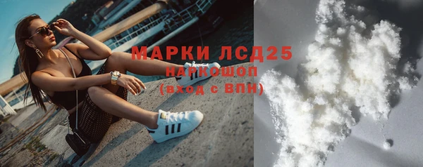 PSILOCYBIN Балабаново