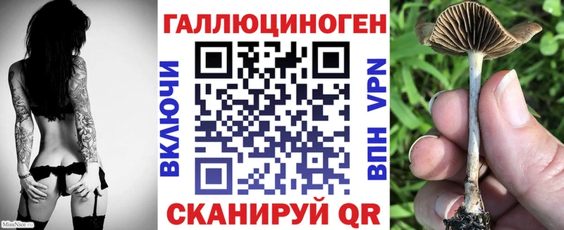 Псилоцибиновые грибы Psilocybine cubensis  кракен рабочий сайт  Борзя 